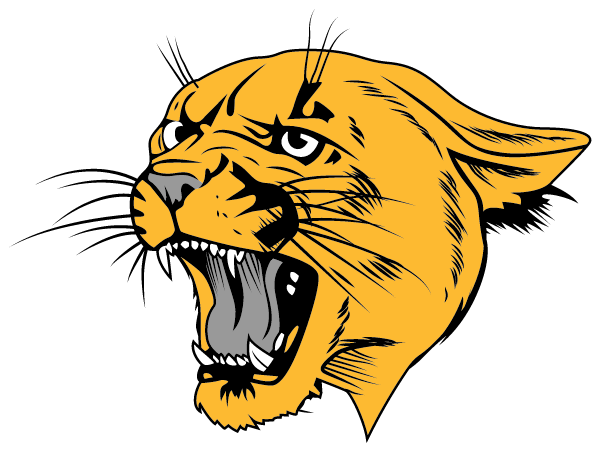 TUCKER COUNTY HIGH SCHOOL Logo