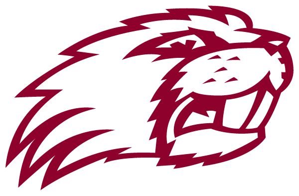 LAKESIDE HIGH SCHOOL Sideline Store Beavers (LAKE VILLAGE, ARKANSAS) Spirit Apparel & Accessories Store