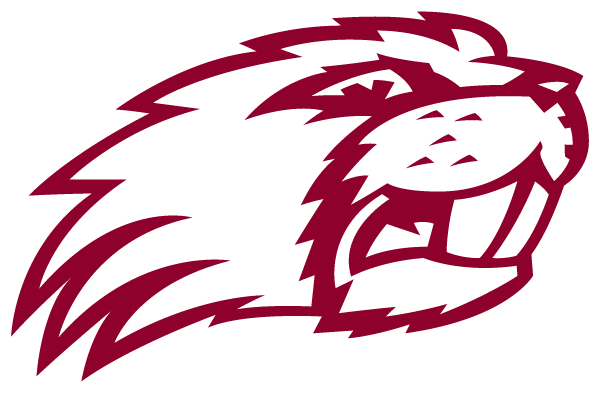 LAKESIDE HIGH SCHOOL Logo