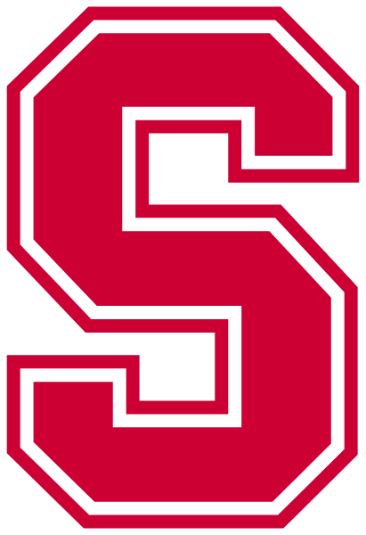SAKS HIGH SCHOOL Logo