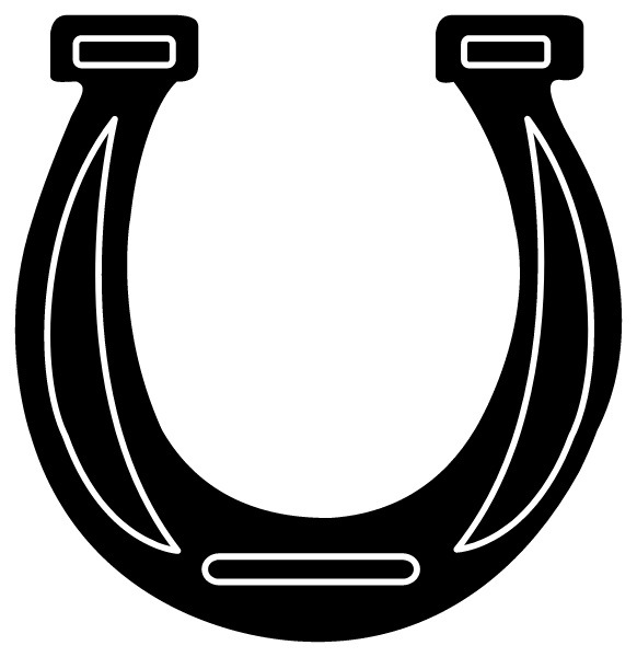 SOUTH HIGH SCHOOL Logo