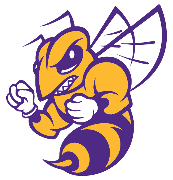 CHESTER HIGH SCHOOL Logo