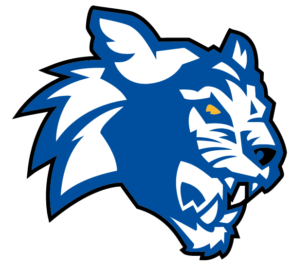 SOUTHERN ACADEMY Logo