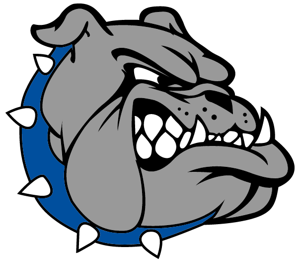 ALBEMARLE HIGH SCHOOL Logo