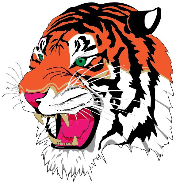 LEAD HILL HIGH SCHOOL Sideline Store Tigers (LEAD HILL, ARKANSAS) Spirit Apparel & Accessories Store