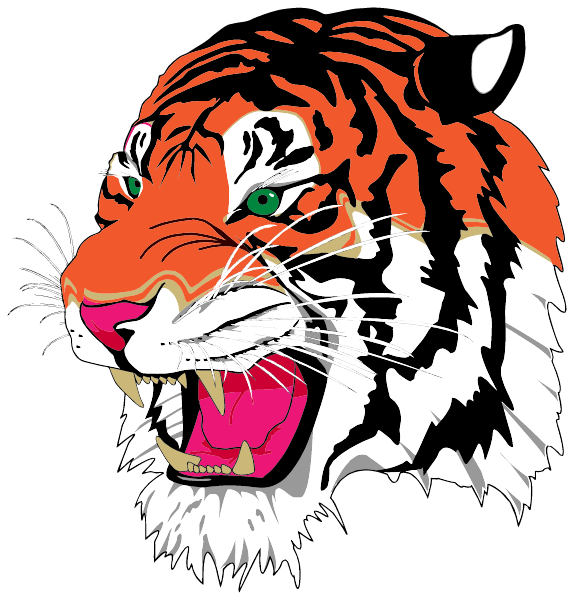 LEAD HILL HIGH SCHOOL Logo