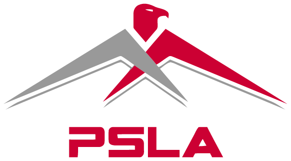 PUBLIC SERVICE LEADERSHIP ACADEMY Logo