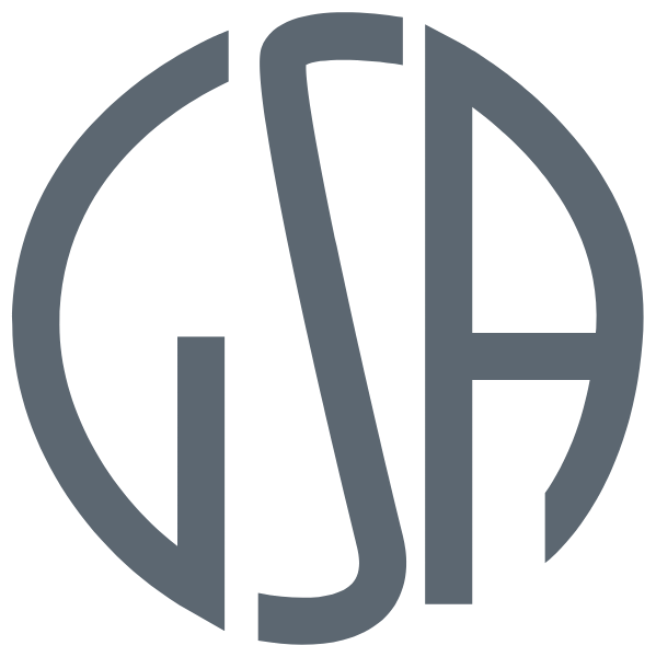 GEORGE STEVENS ACADEMY Logo