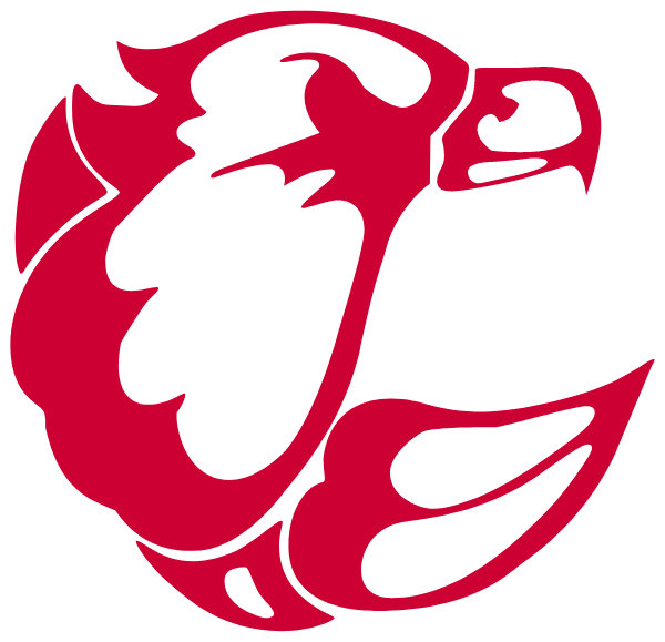 CENTRAL HIGH SCHOOL Logo