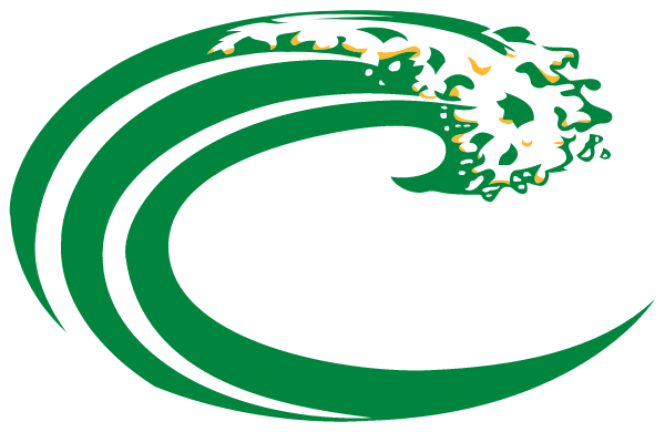 DOVER HIGH SCHOOL Logo
