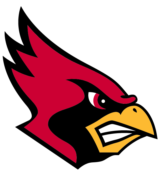 RAY HIGH SCHOOL Logo
