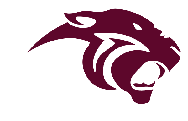 PELION HIGH SCHOOL Logo