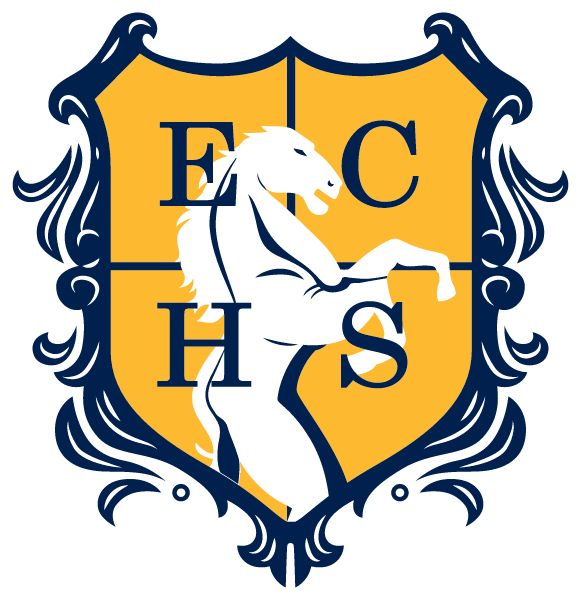 MANSFIELD EARLY COLLEGE HIGH SCHOOL AT TIMBERVIEW Sideline Store Stallions (Arlington, TEXAS) Spirit Apparel & Accessories Store