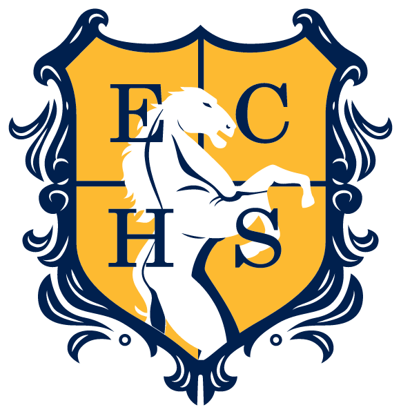 MANSFIELD EARLY COLLEGE HIGH SCHOOL AT TIMBERVIEW Logo