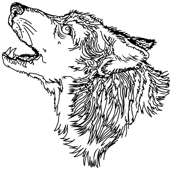 PROSPECT MOUNTAIN HIGH SCHOOL Logo