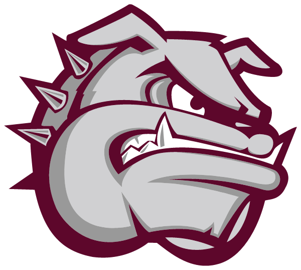 NEW ALBANY HIGH SCHOOL Logo