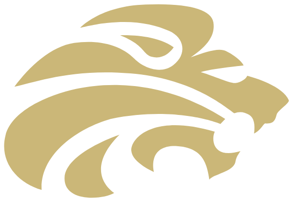 LEWISVILLE HIGH SCHOOL Logo