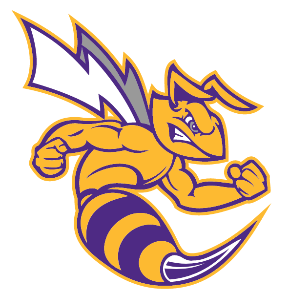 Angola High School Logo