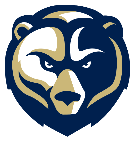 PULASKI ACADEMY Logo