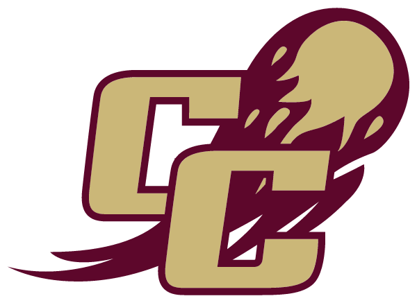 CARLISLE HIGH SCHOOL Logo