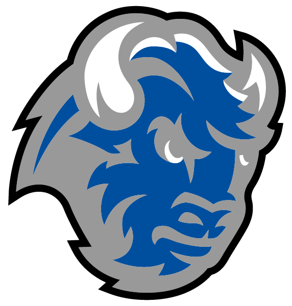 NORTH SAND MOUNTAIN HIGH SCHOOL Logo