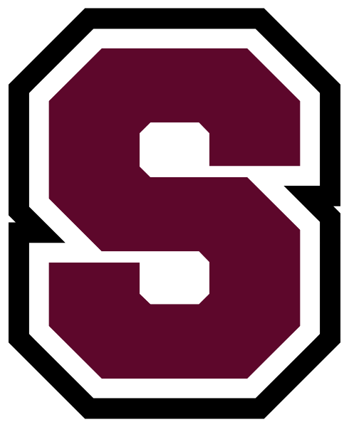 SWINK HIGH SCHOOL Logo