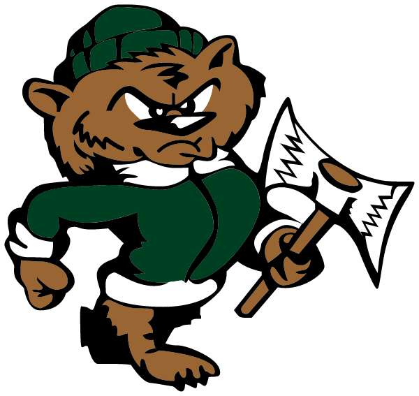 ST JOHN HIGH SCHOOL Logo