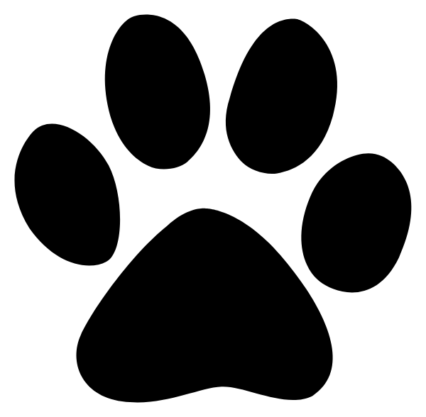 SOUTH PARK HIGH SCHOOL Logo