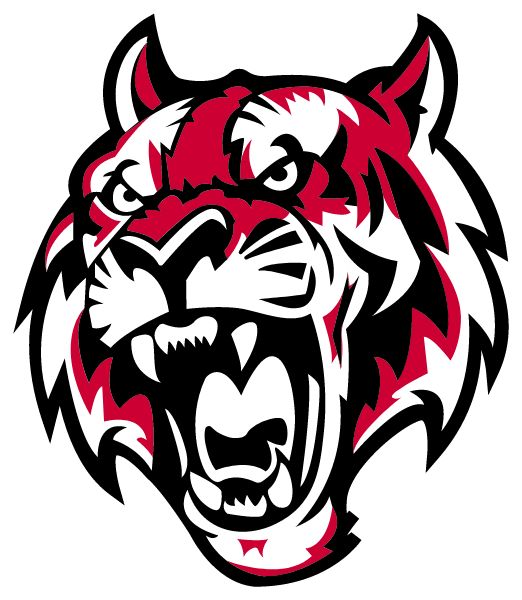 FLEETWOOD AREA HIGH SCHOOL Sideline Store Tigers (FLEETWOOD, PENNSYLVANIA) Spirit Apparel & Accessories Store