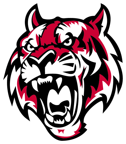 FLEETWOOD AREA HIGH SCHOOL Logo