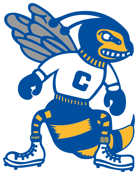 CENTER HIGH SCHOOL Logo