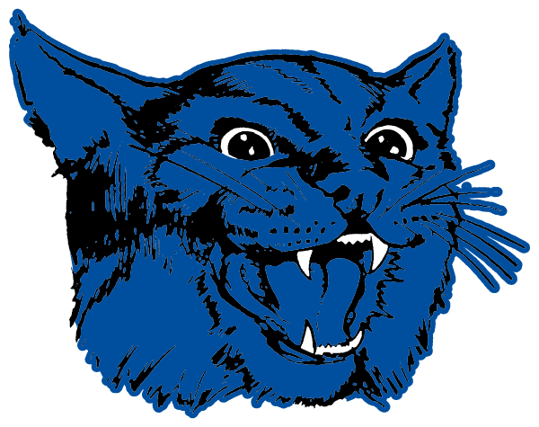 COLEMAN HIGH SCHOOL Logo