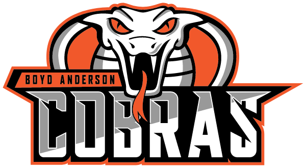 BOYD ANDERSON HIGH SCHOOL Logo