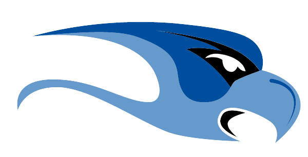 CATALINA FOOTHILLS HIGH SCHOOL Logo