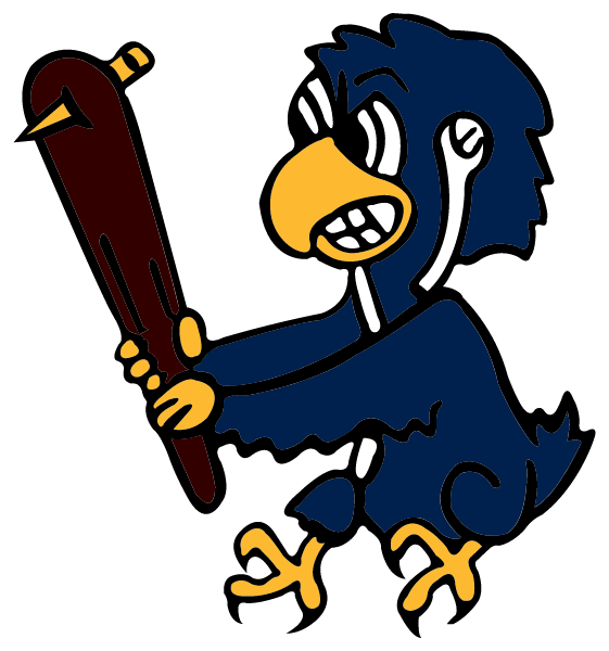 AIR ACADEMY HIGH SCHOOL Logo