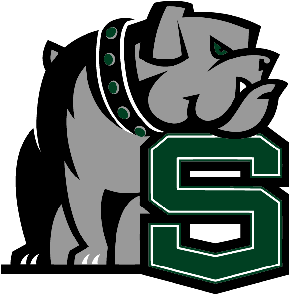 NICHOLAS SENN HIGH SCHOOL Logo