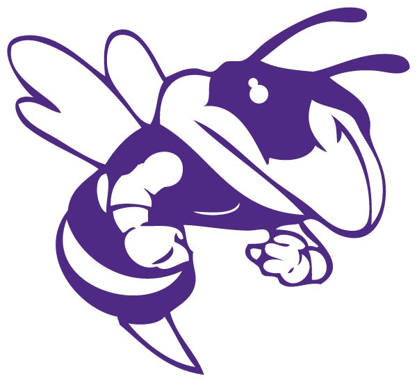 HILL CITY HIGH SCHOOL Sideline Store Hornets (HILL CITY, MINNESOTA) Spirit Apparel & Accessories Store