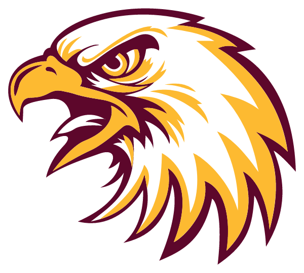 FAIRVIEW AREA HIGH SCHOOL Logo