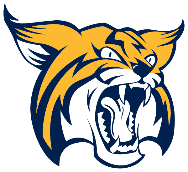 BOCA RATON HIGH SCHOOL Logo