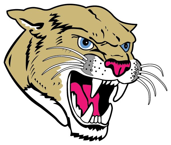SOUTH HEART HIGH SCHOOL Sideline Store Cougars (SOUTH HEART, North Dakota) Spirit Apparel & Accessories Store