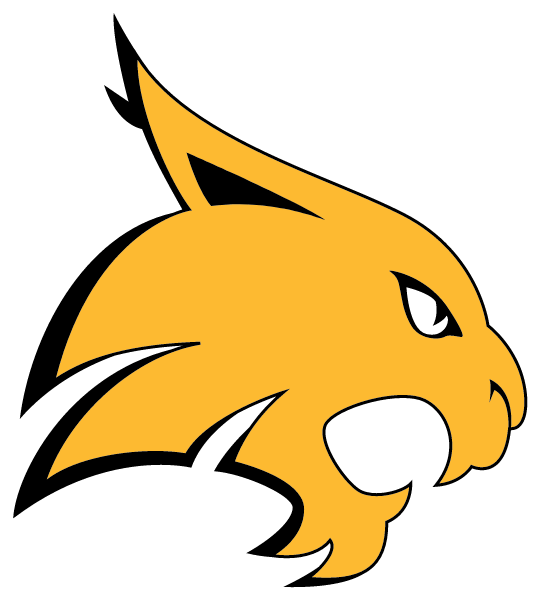 CUSTER COUNTY HIGH SCHOOL Logo
