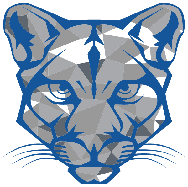 CAM HIGH SCHOOL Logo