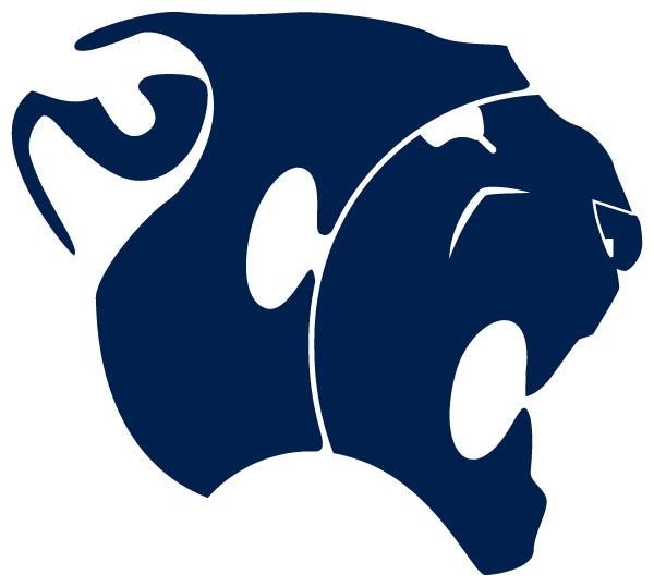 Colleton County High School Logo