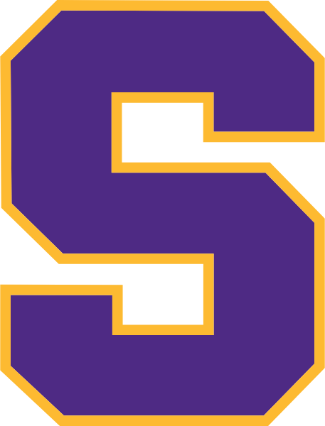SWANSEA HIGH SCHOOL Logo