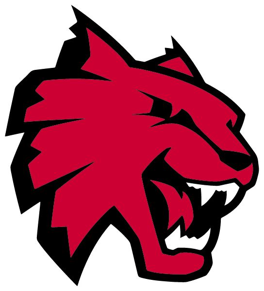 NORTHWESTERN SENIOR HIGH SCHOOL Sideline Store Wildcats (ALBION, PENNSYLVANIA) Spirit Apparel & Accessories Store