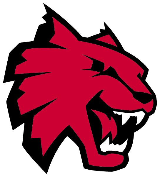 NORTHWESTERN SENIOR HIGH SCHOOL Logo