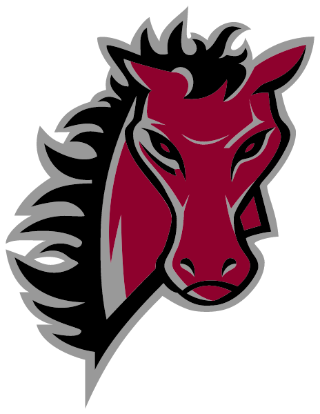 LEES SUMMIT NORTH HIGH SCHOOL Logo