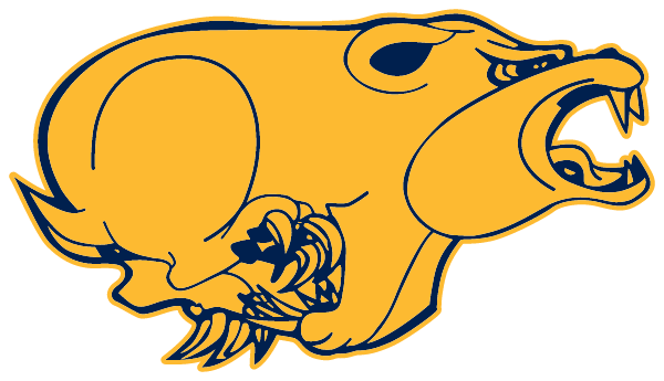 TOLEDO HIGH SCHOOL Logo