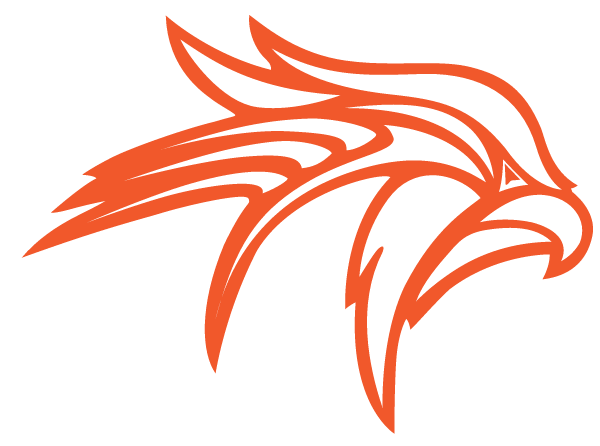 FENNVILLE HIGH SCHOOL Logo