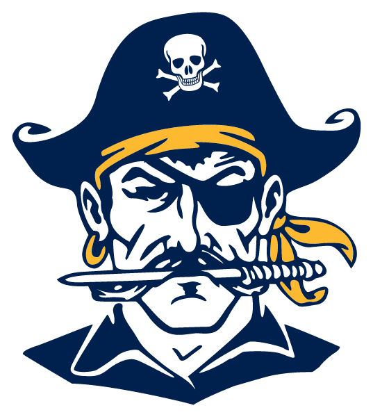 HUDSON HIGH SCHOOL Logo